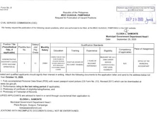 Admin Asst V (DEMO III)